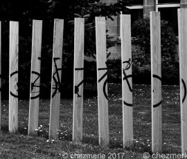 DSC 4530 DxO